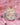 Dessert Plates