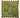 Jardin de Paris napkin (set of 4)